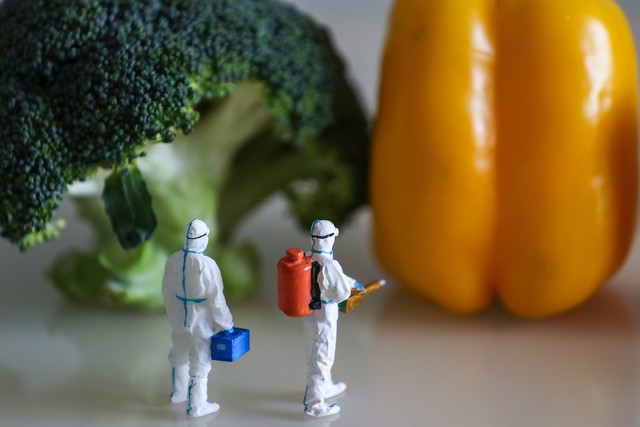 建国以来我国10次重大疫情回顾：防控举措与疫情传播控制情况